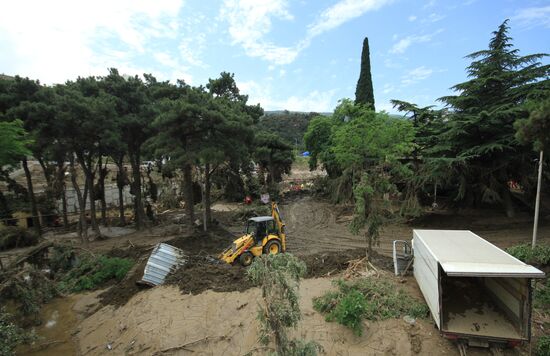 Tbilisi Zoo after flooding