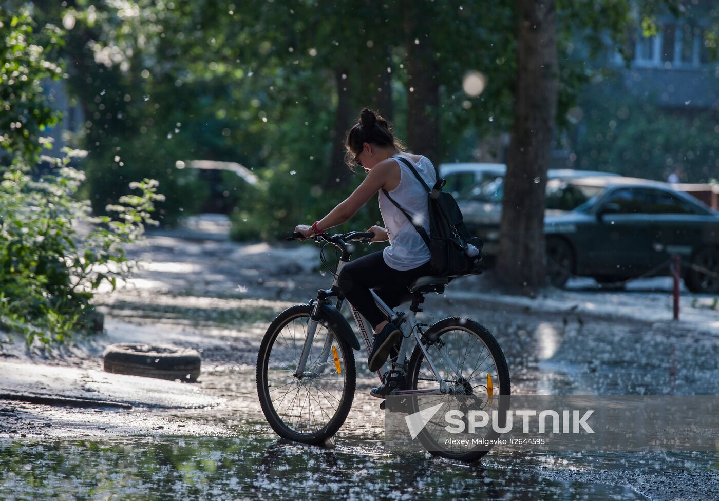 Poplar fluff in Omsk