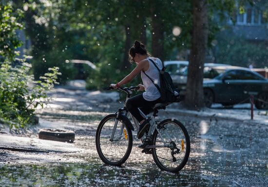 Poplar fluff in Omsk