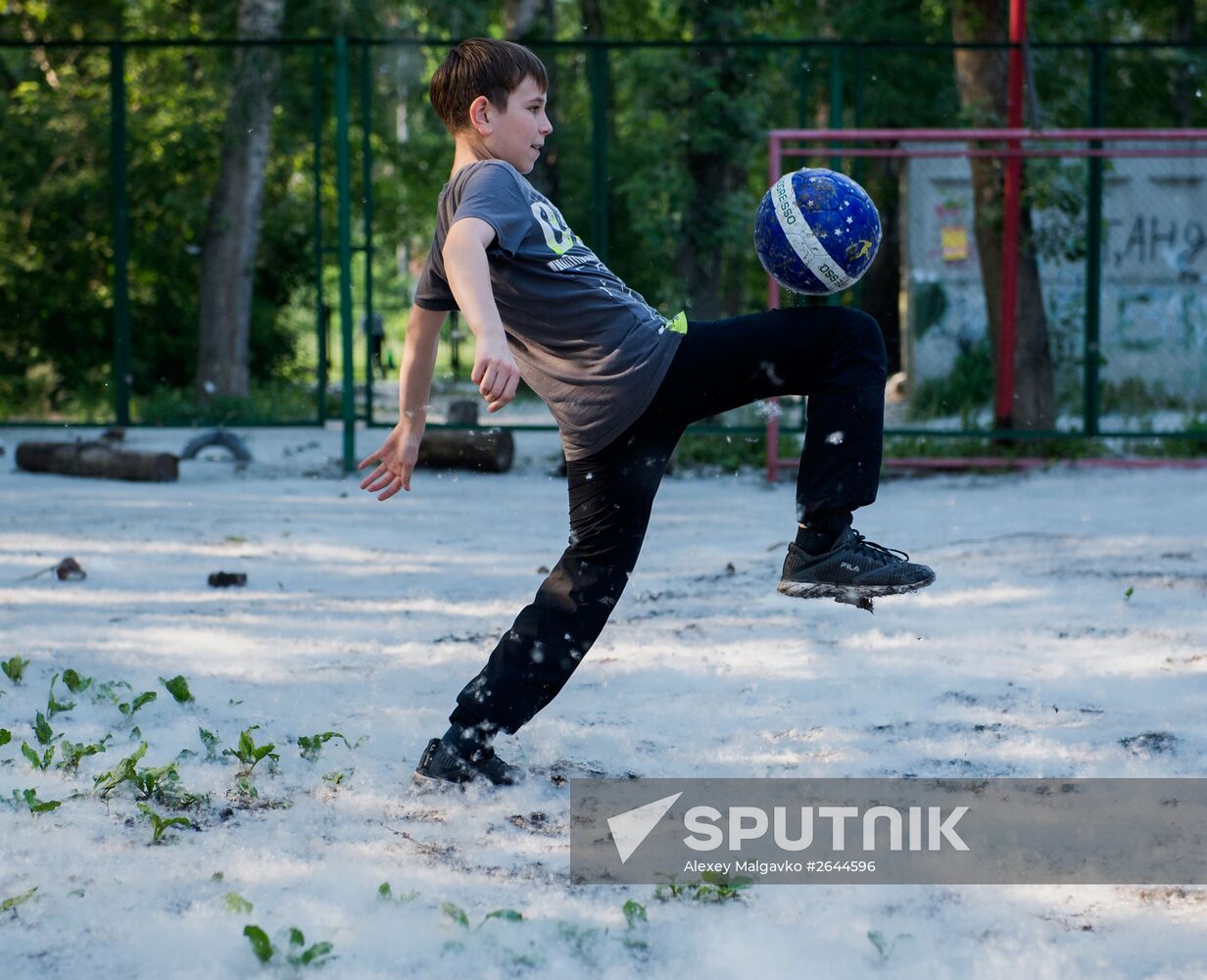 Poplar fluff in Omsk