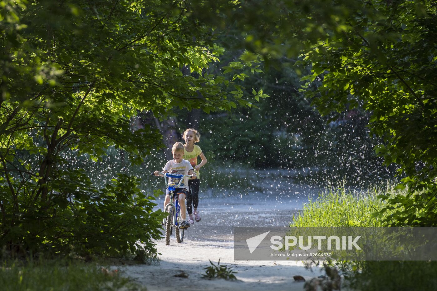 Poplar fluff in Omsk