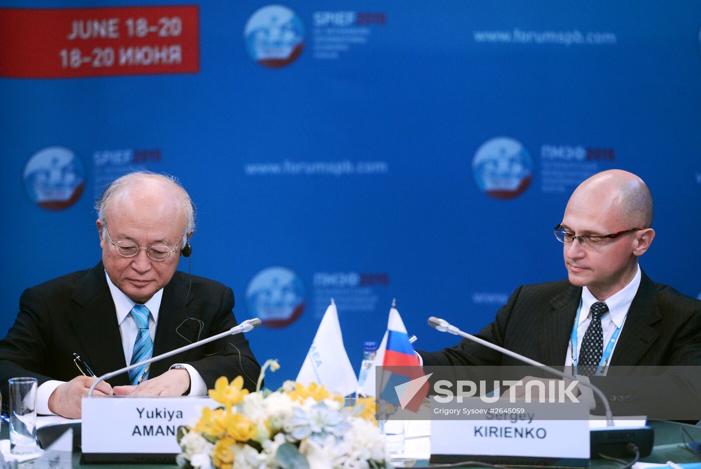 Panel session, Nuclear Power in The New Global Energy Mix, at 2015 St. Petersburg International Economic Forum