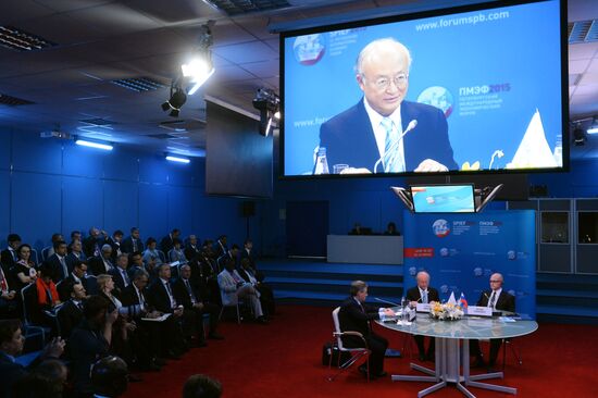 Panel session, Nuclear Power in The New Global Energy Mix, at 2015 St. Petersburg International Economic Forum
