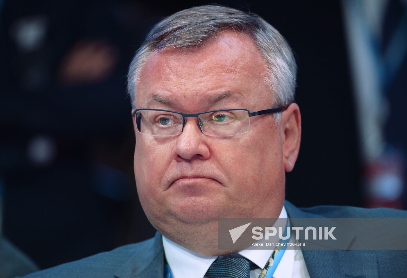 Business roundtable, Business Perspective on EU-EAEU as a Formula for Cooperation, at 2015 St.Petersburg International Economic Forum