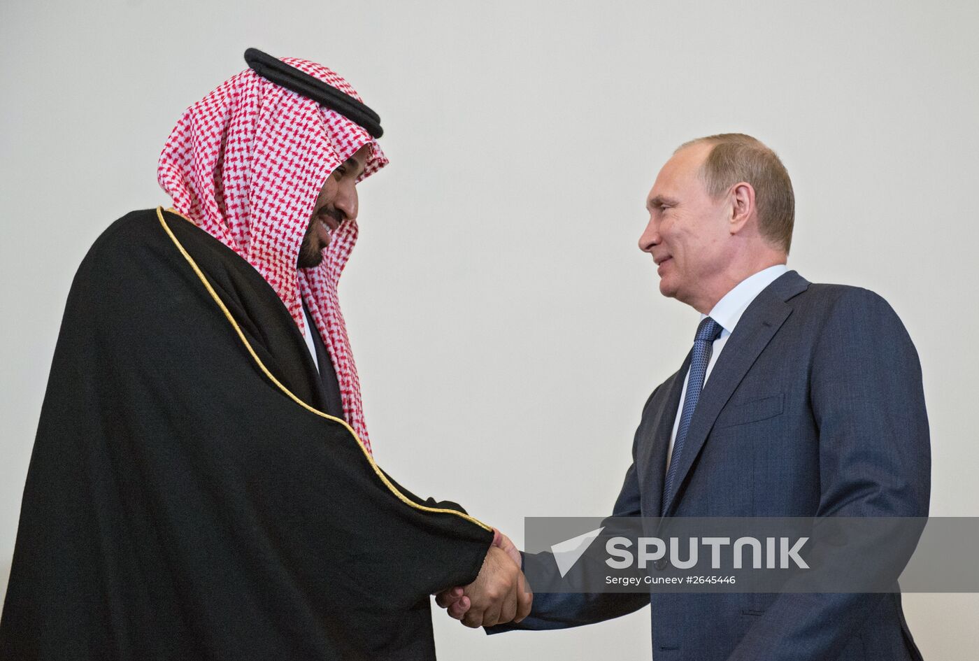 Russian President Vladimir Putin's working trip to St. Petersburg