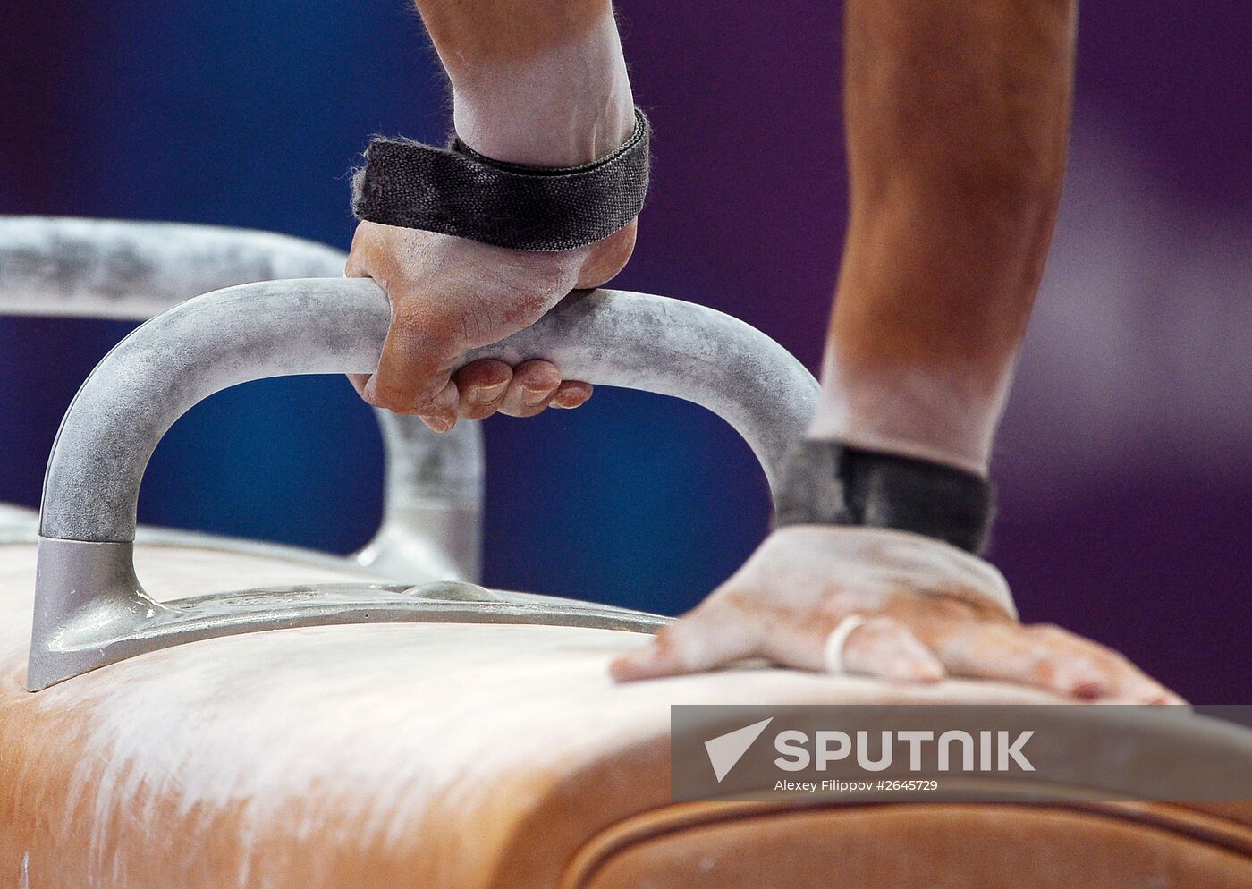 1st European Games. Artistic Gymnastics. Men's Individual All-Around