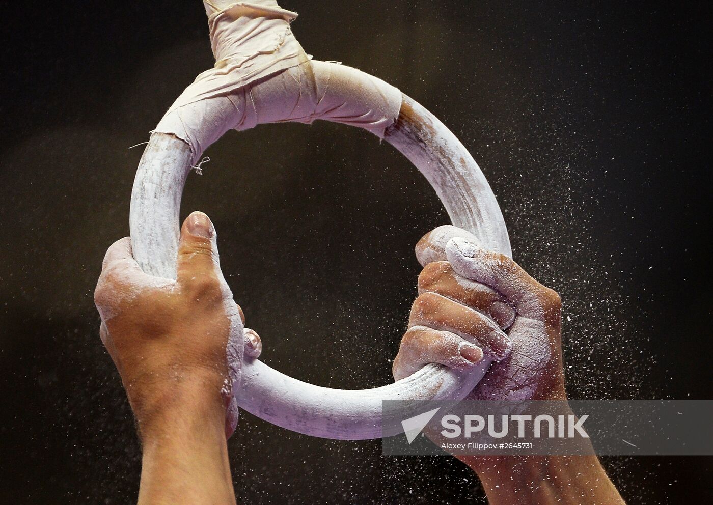 2015 European Games. Artistic Gymnastics. Men's Individual All-Around