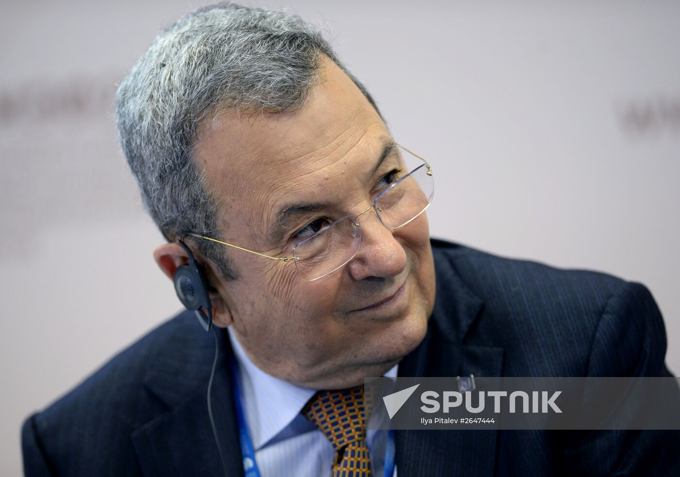 Panel Session, Unlocking the Potential Growth of the Knowledge Economy, at SPIEF 2015