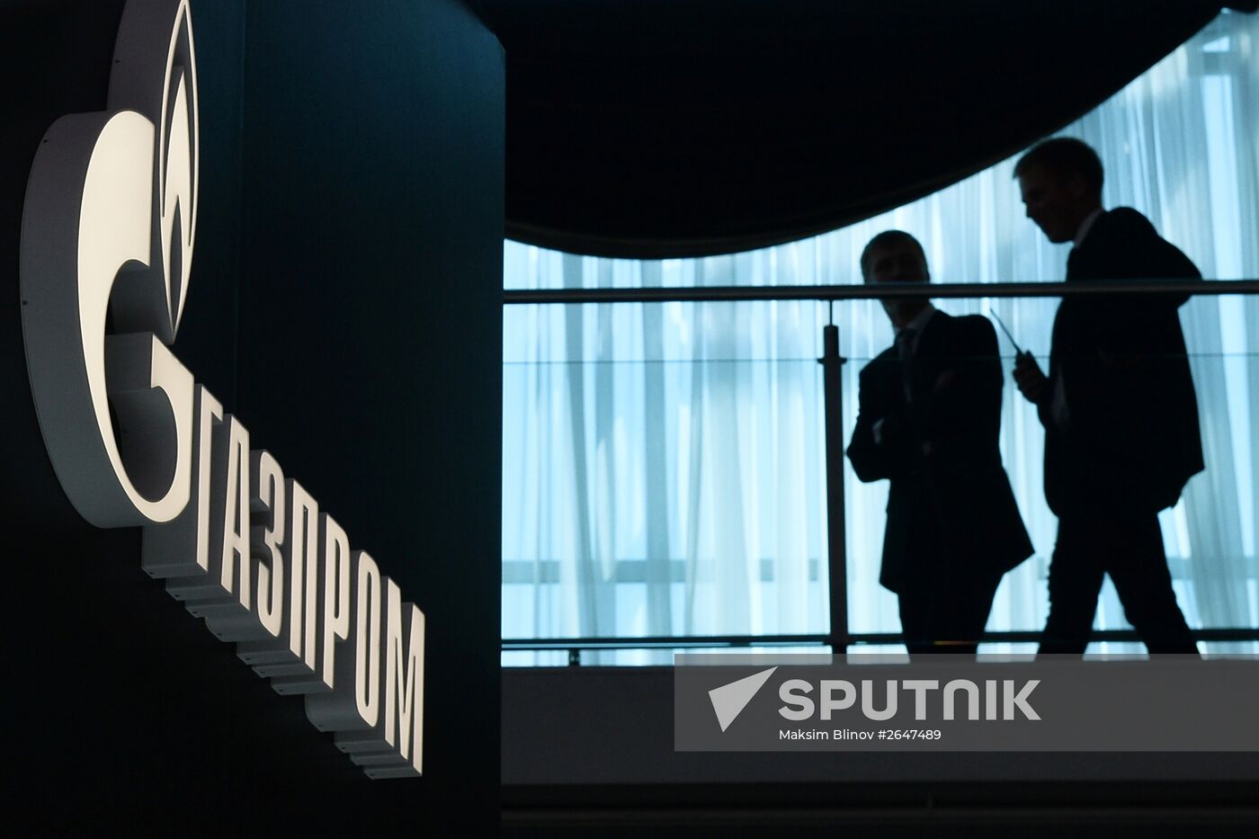 2015 St. Petersburg International Economic Forum (SPIEF). Day Three