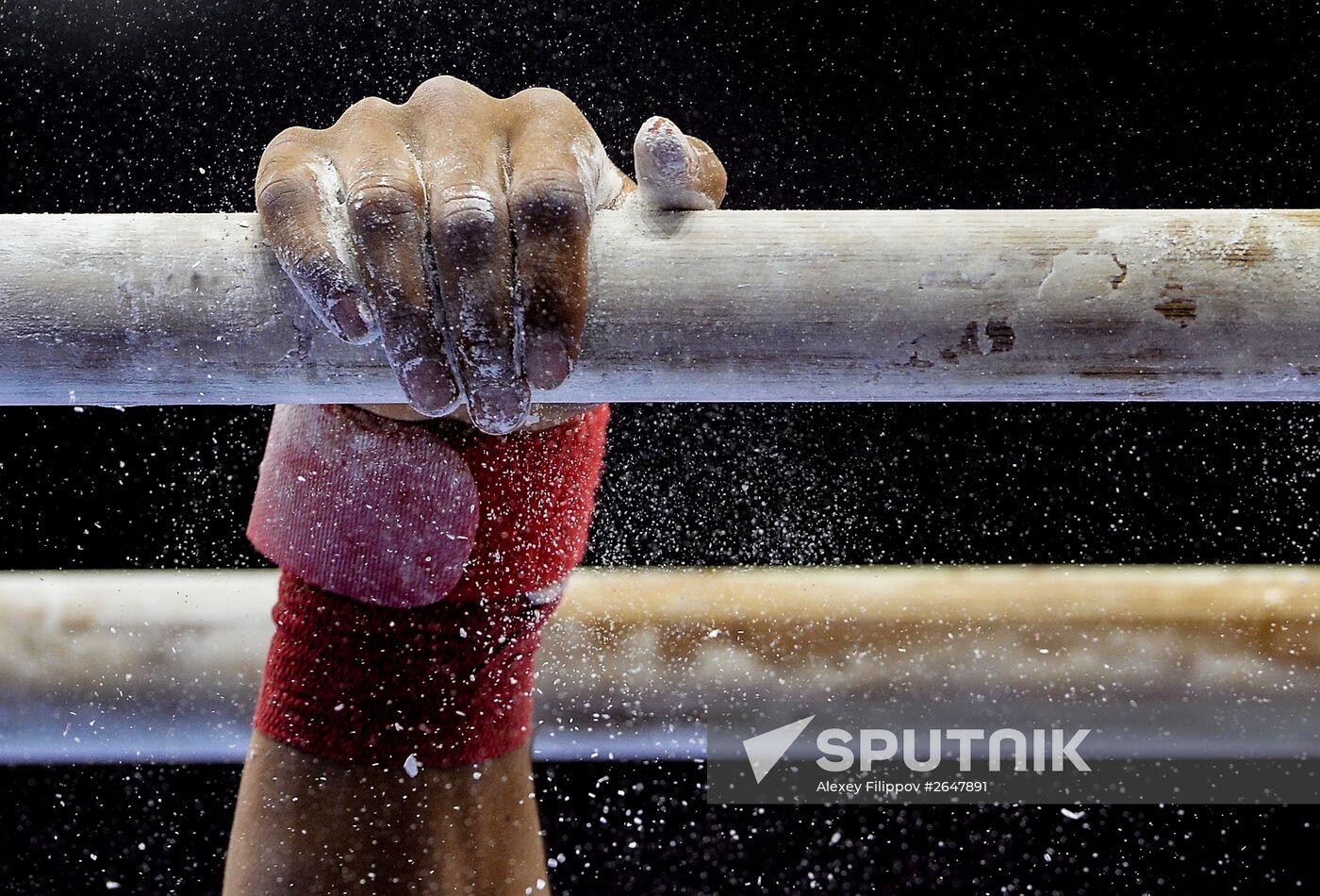 2015 European Games. Artistic Gymanstics