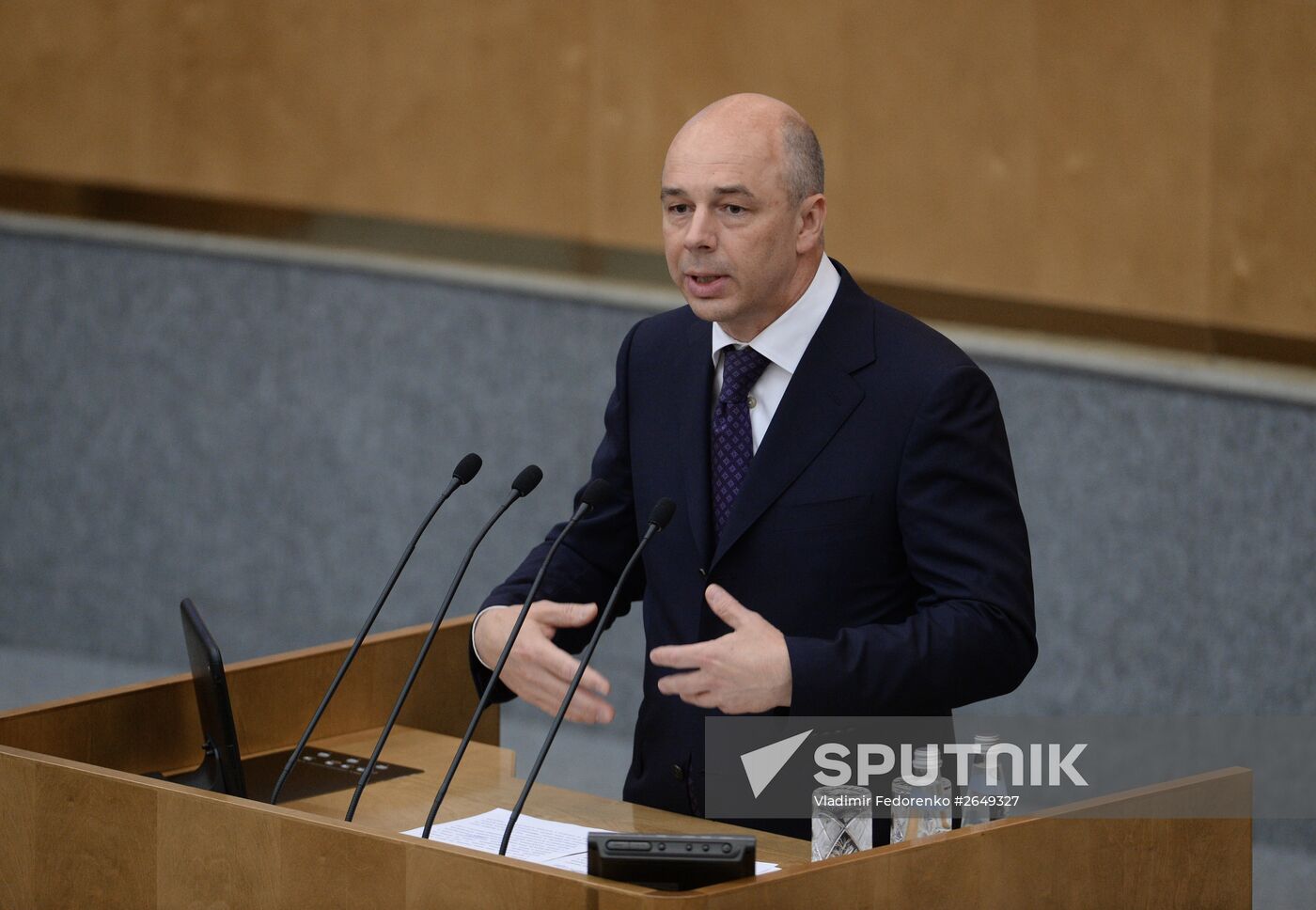 Russian State Duma hosts parliamentary hearings