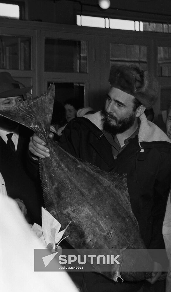 Fidel Castro visits USSR