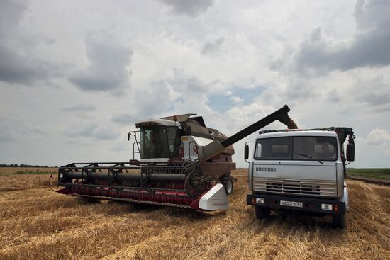 Harvesting crops in Crimea