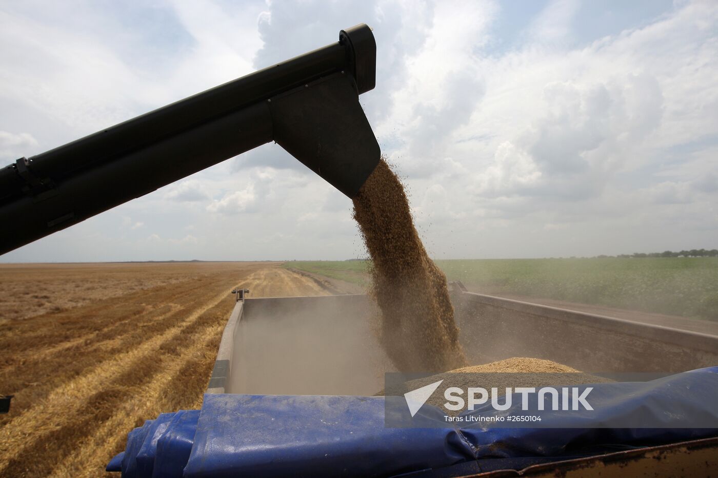 Harvesting crops in Crimea