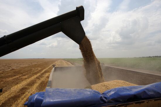 Harvesting crops in Crimea