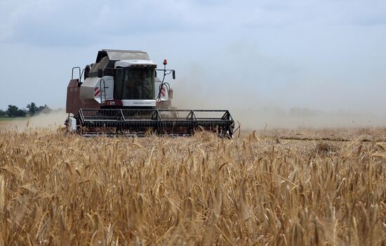Harvesting crops in Crimea