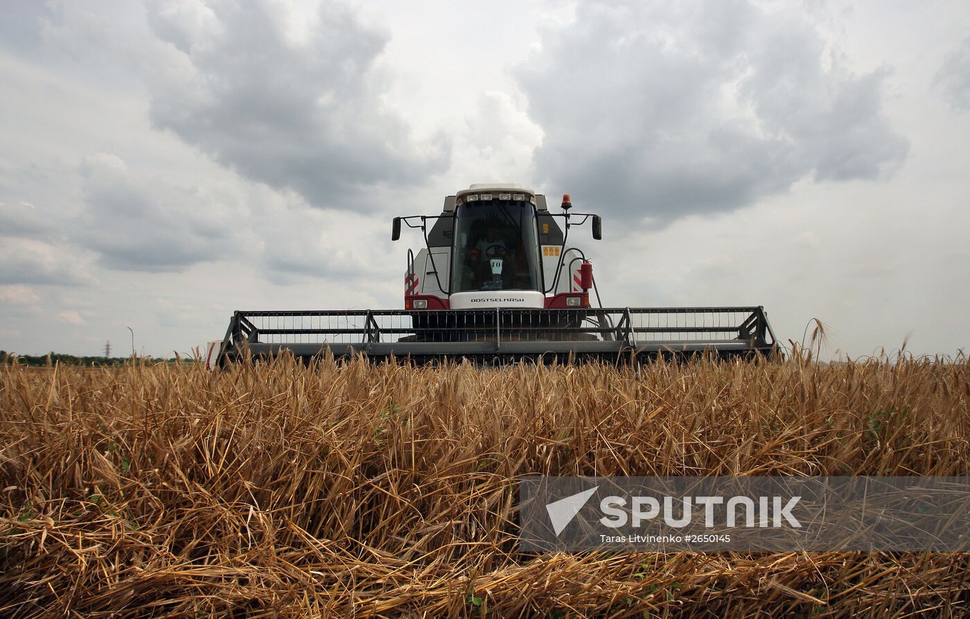 Harvesting crops in Crimea