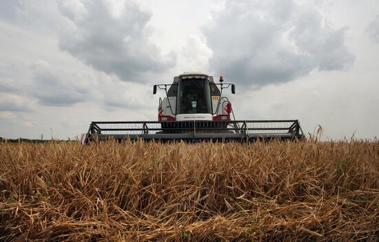 Harvesting crops in Crimea