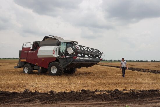 Harvesting crops in Crimea