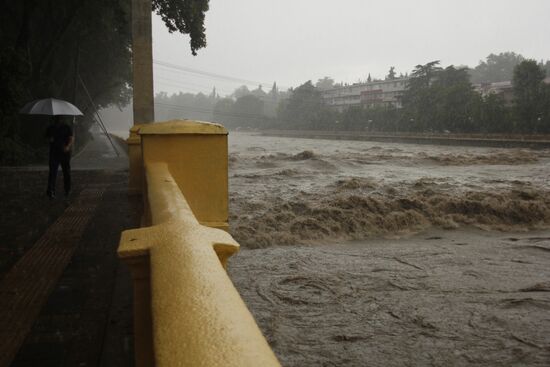 Downpour causes flash flood in Sochi