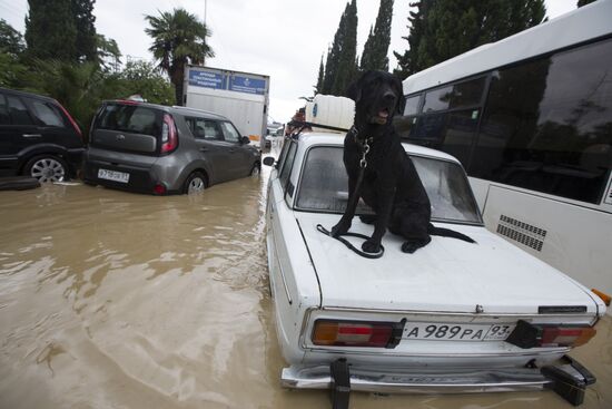 Sochi hit by flooding