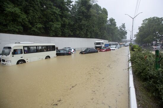 Downpour causes flash flood in Sochi