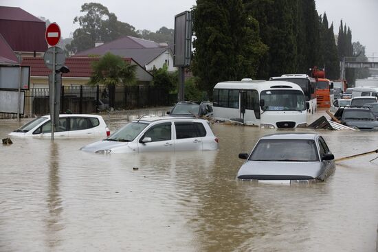 Downpour causes flash flood in Sochi