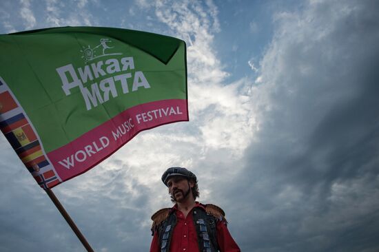Wild Mint international music festival. Day One