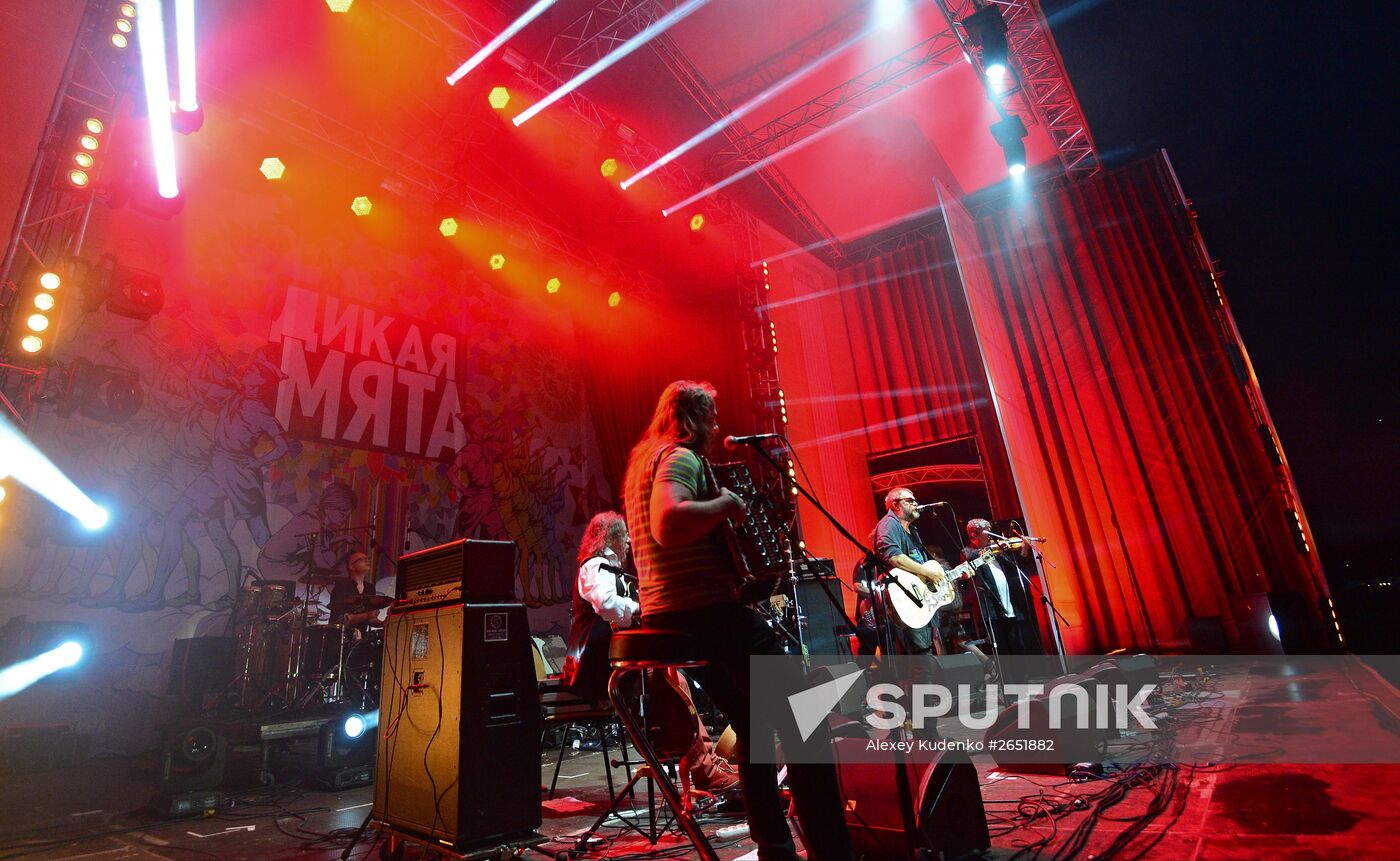 Wild Mint international music festival. Day One
