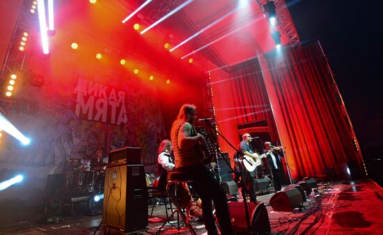Wild Mint international music festival. Day One