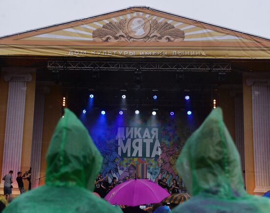 Wild Mint international music festival. Day One
