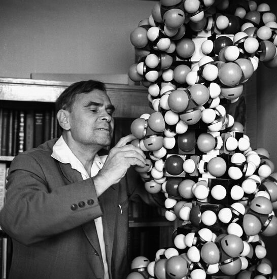 Academician Andrei Belozersky