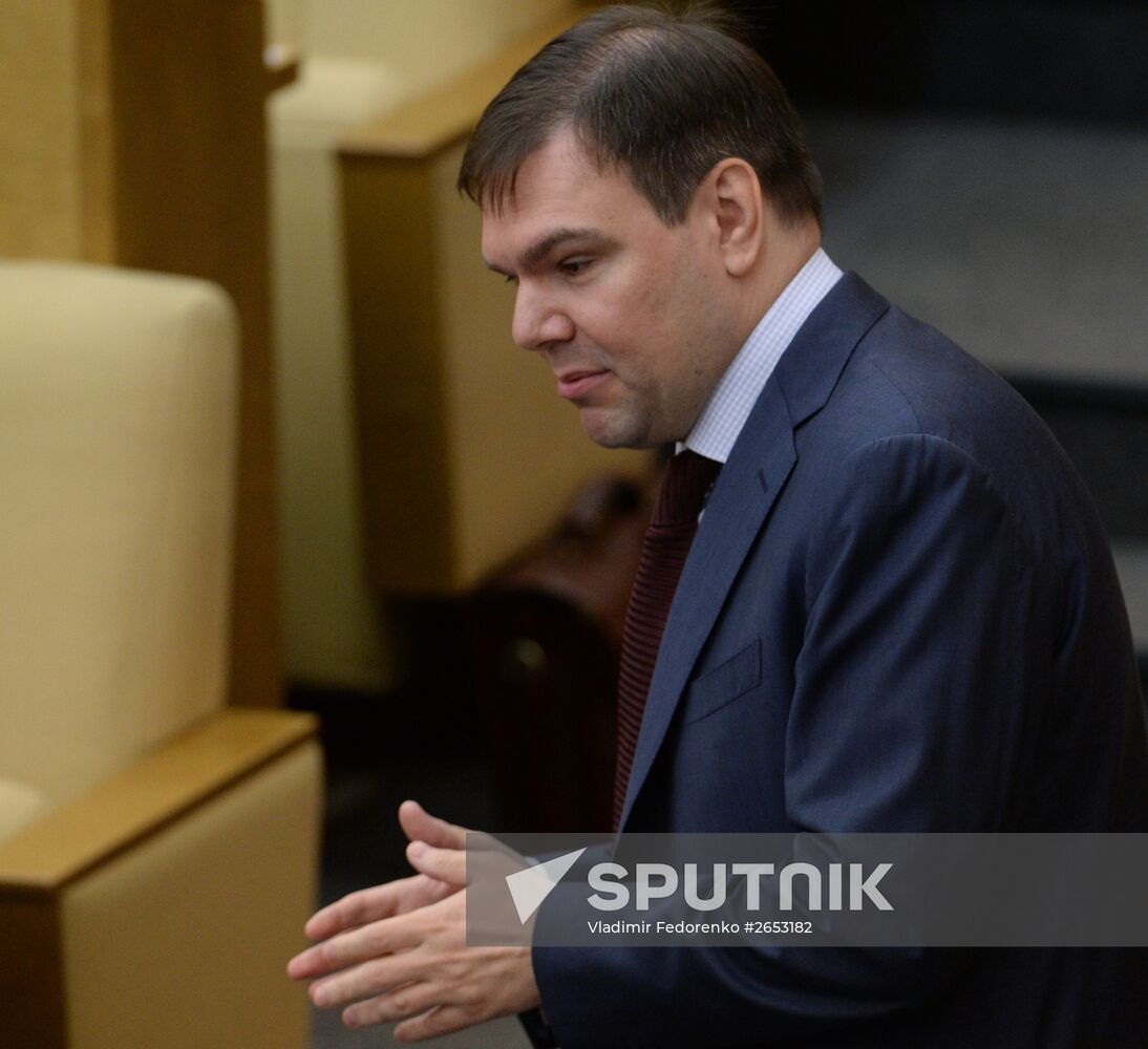 Plenary meeting of the State Duma of the Russian Federation
