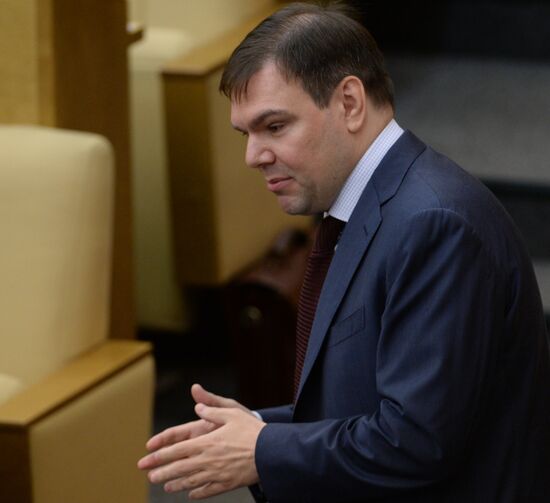 Plenary meeting of the State Duma of the Russian Federation