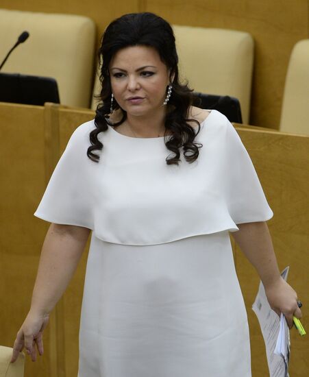 Plenary meeting of the State Duma of the Russian Federation