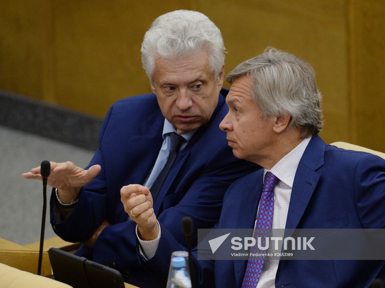 Plenary meeting of the State Duma of the Russian Federation