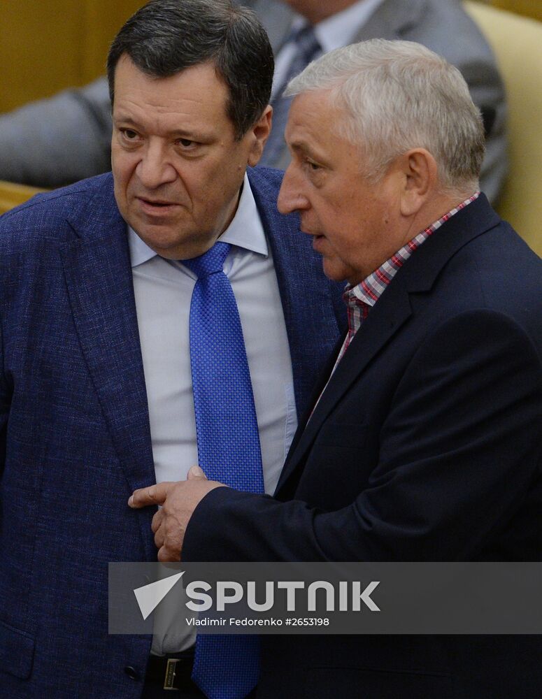 Plenary meeting of the State Duma of the Russian Federation