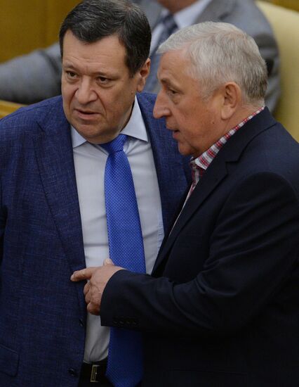 Plenary meeting of the State Duma of the Russian Federation