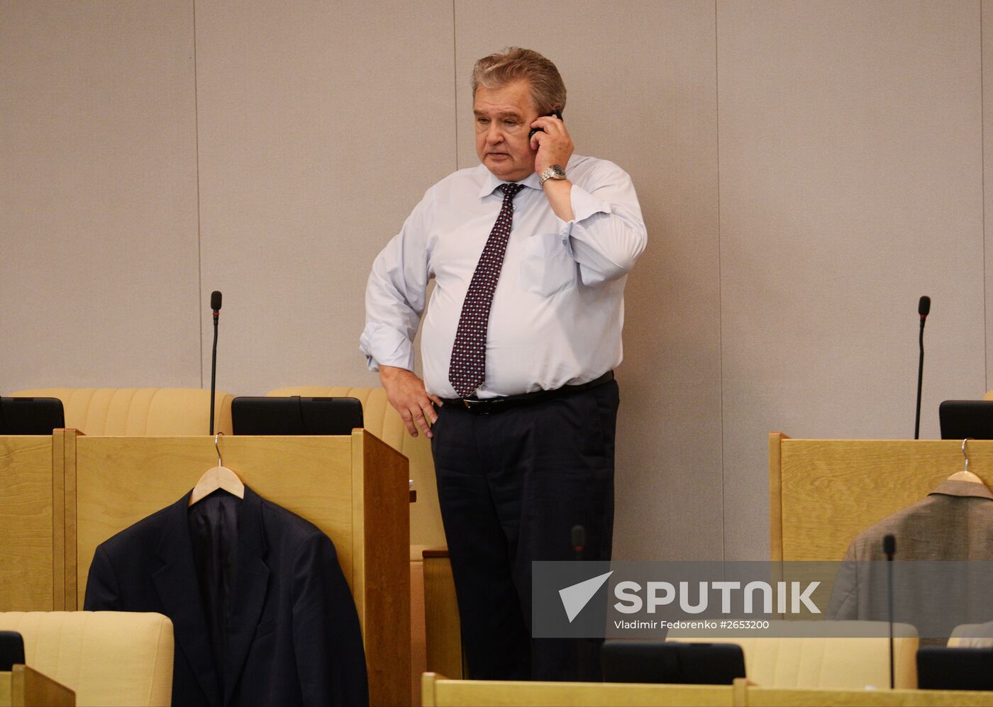 Plenary meeting of the State Duma of the Russian Federation