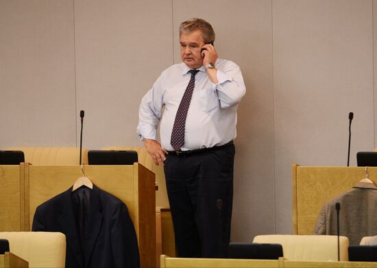 Plenary meeting of the State Duma of the Russian Federation