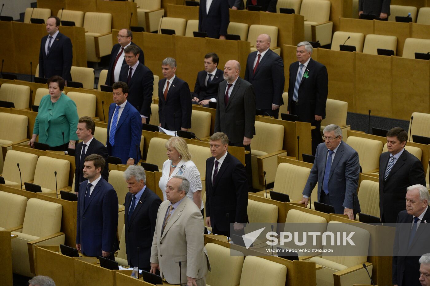 Plenary meeting of the State Duma of the Russian Federation