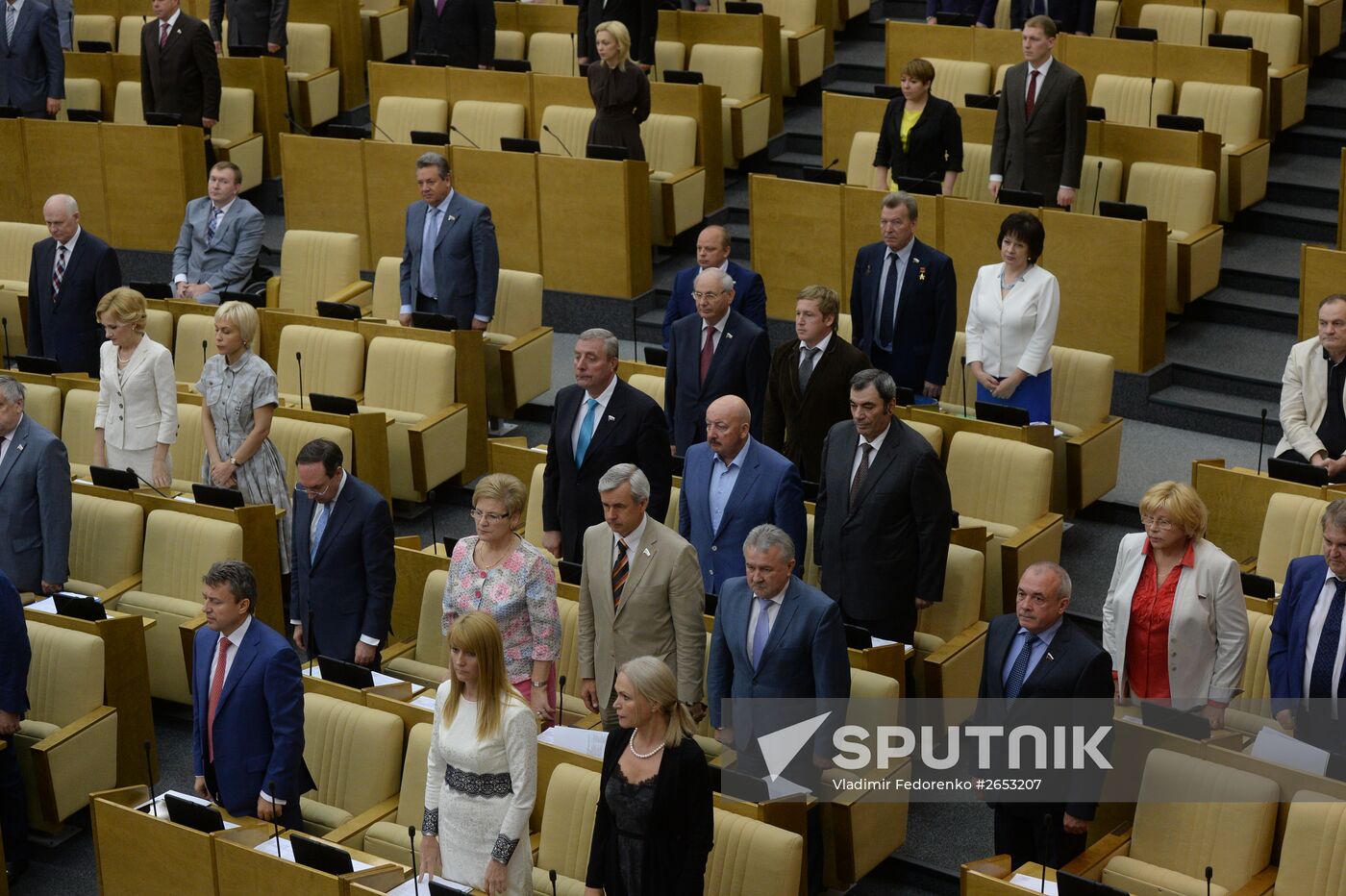 Plenary meeting of the State Duma of the Russian Federation