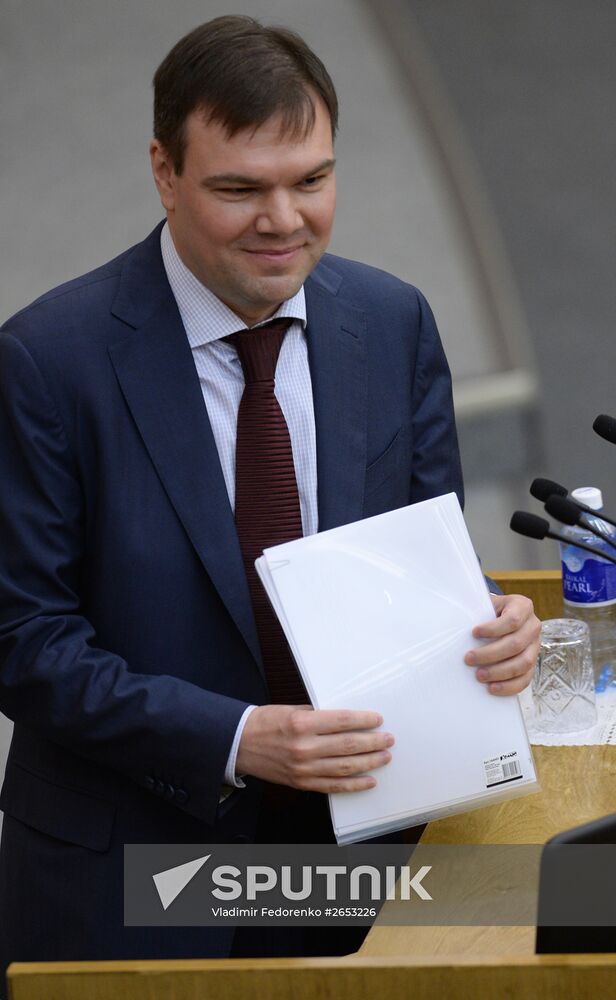 Plenary meeting of the State Duma of the Russian Federation