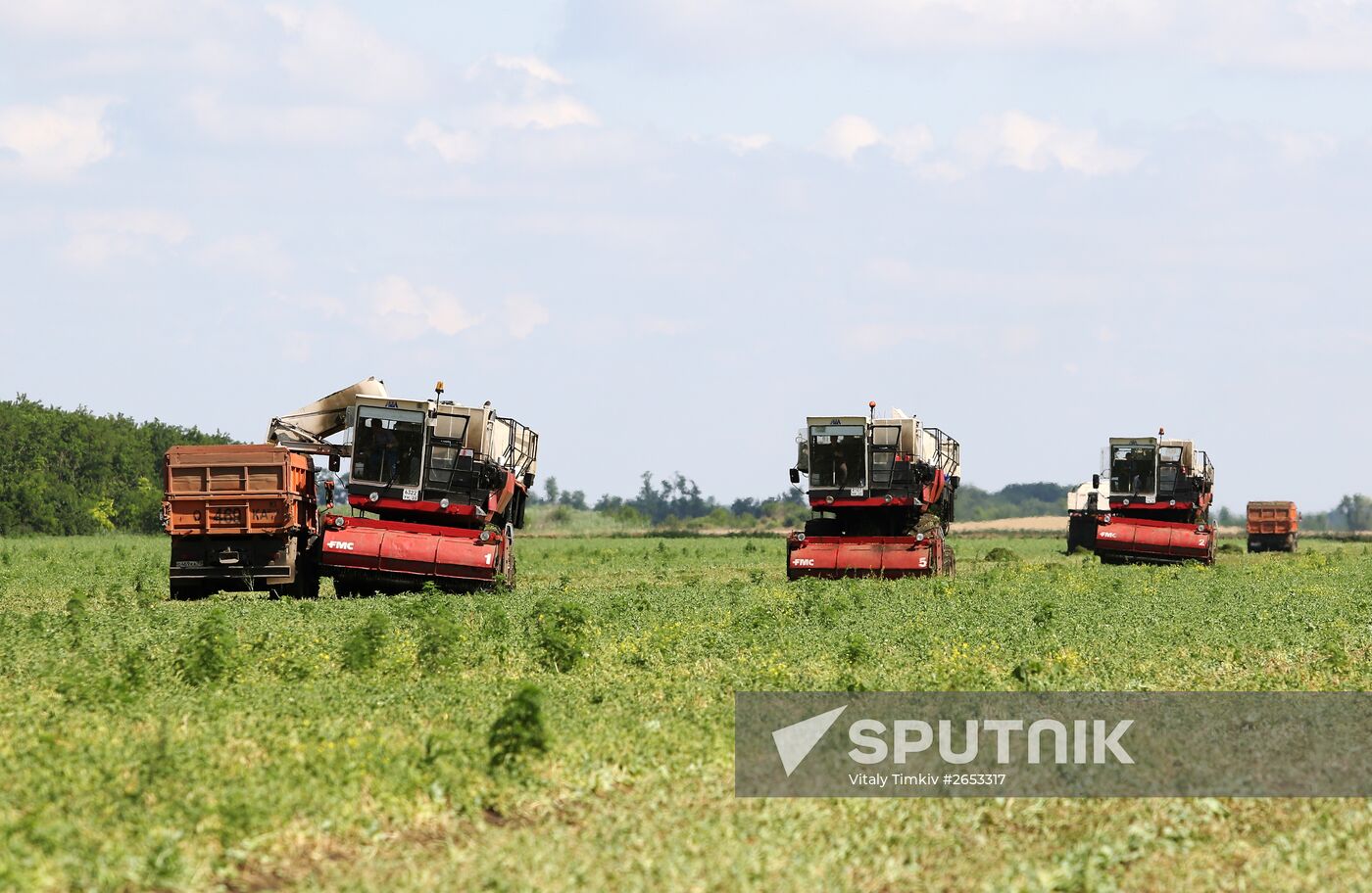 Legume conservation at Bonduelle-Kuban enterprise