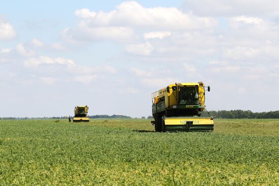 Legume conservation at Bonduelle-Kuban enterprise