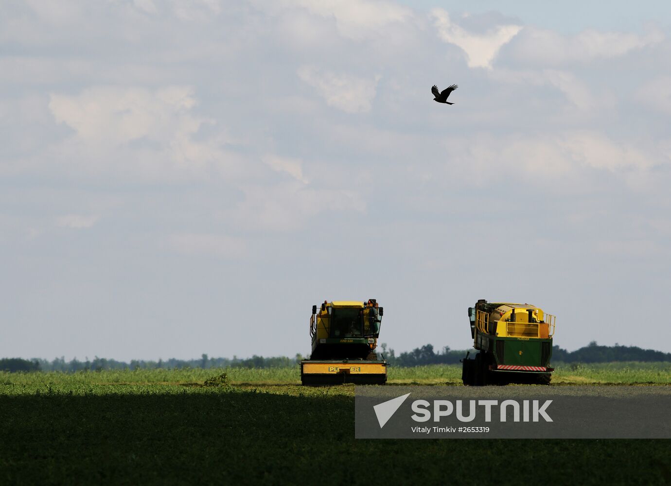 Legume conservation at Bonduelle-Kuban enterprise