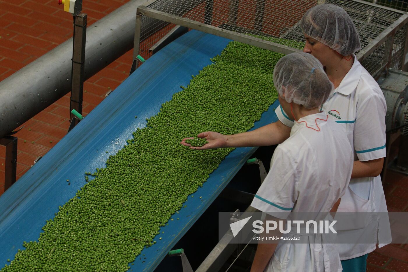 Legume conservation at Bonduelle-Kuban enterprise