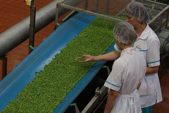 Legume conservation at Bonduelle-Kuban enterprise