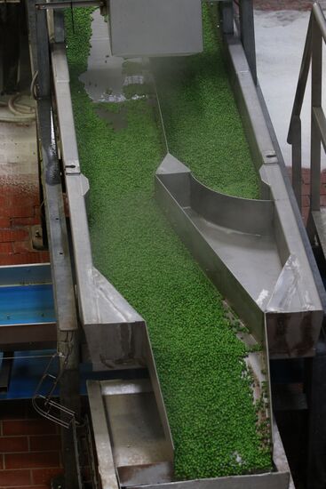 Legume conservation at Bonduelle-Kuban enterprise