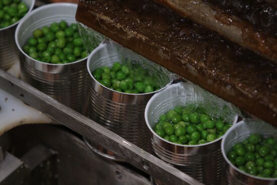 Legume conservation at Bonduelle-Kuban enterprise